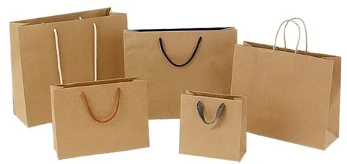 Paper Shopping Bag